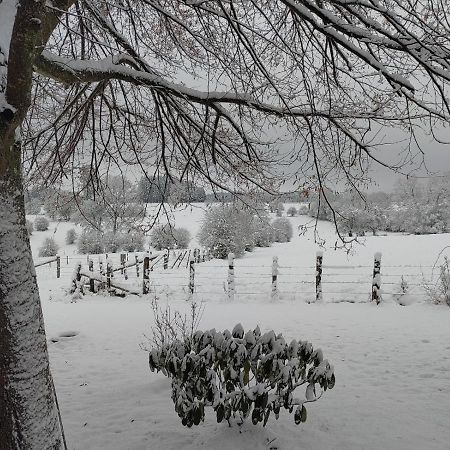 Вілла Abri De Jardin В'єльсальм Екстер'єр фото